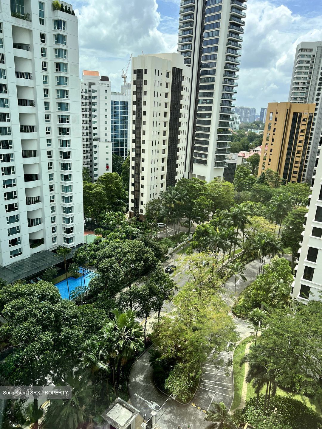 Ardmore Park (D10), Condominium #556386541